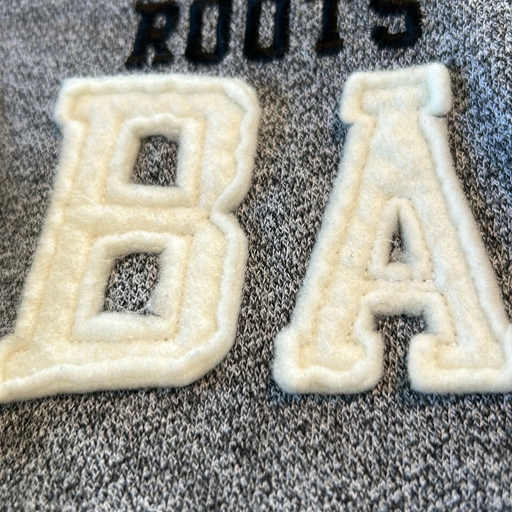 Roots Gray Banff Hoodie - Picture 7 of 12